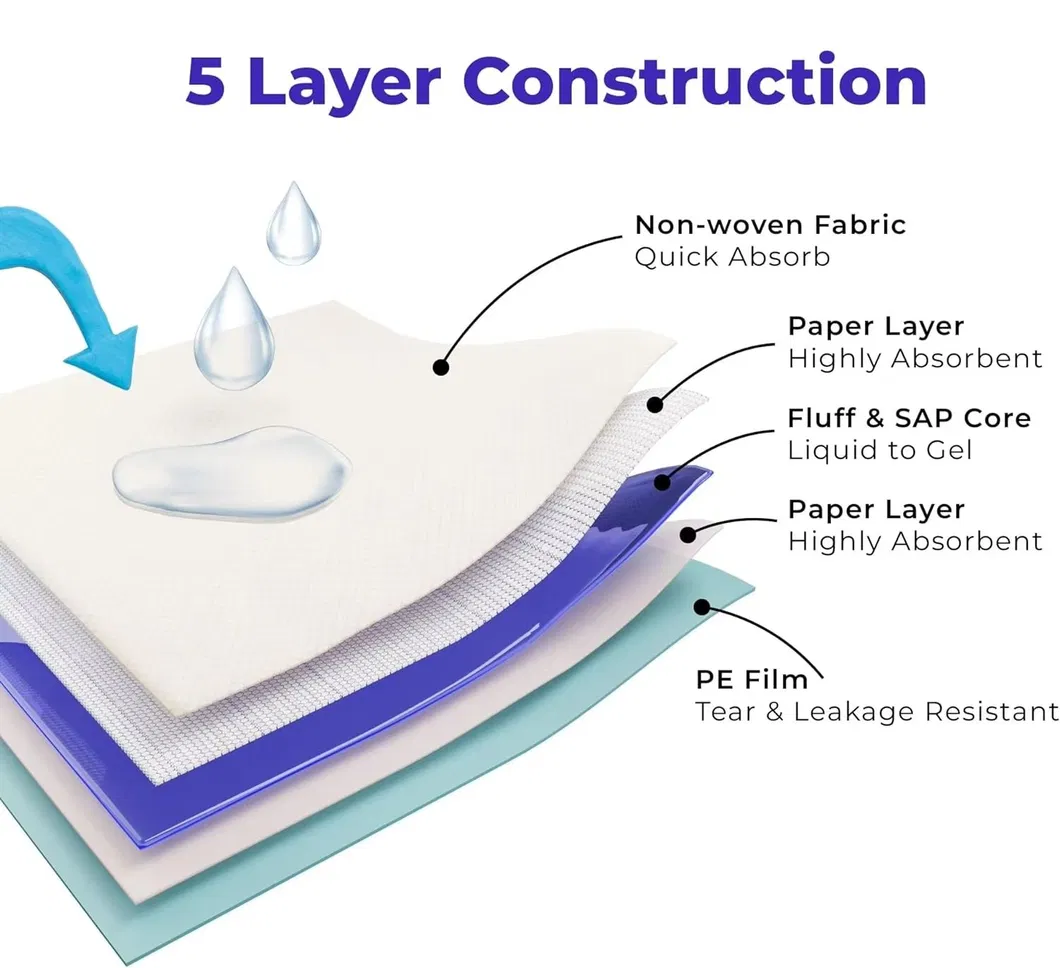 Absorbent Core Detail