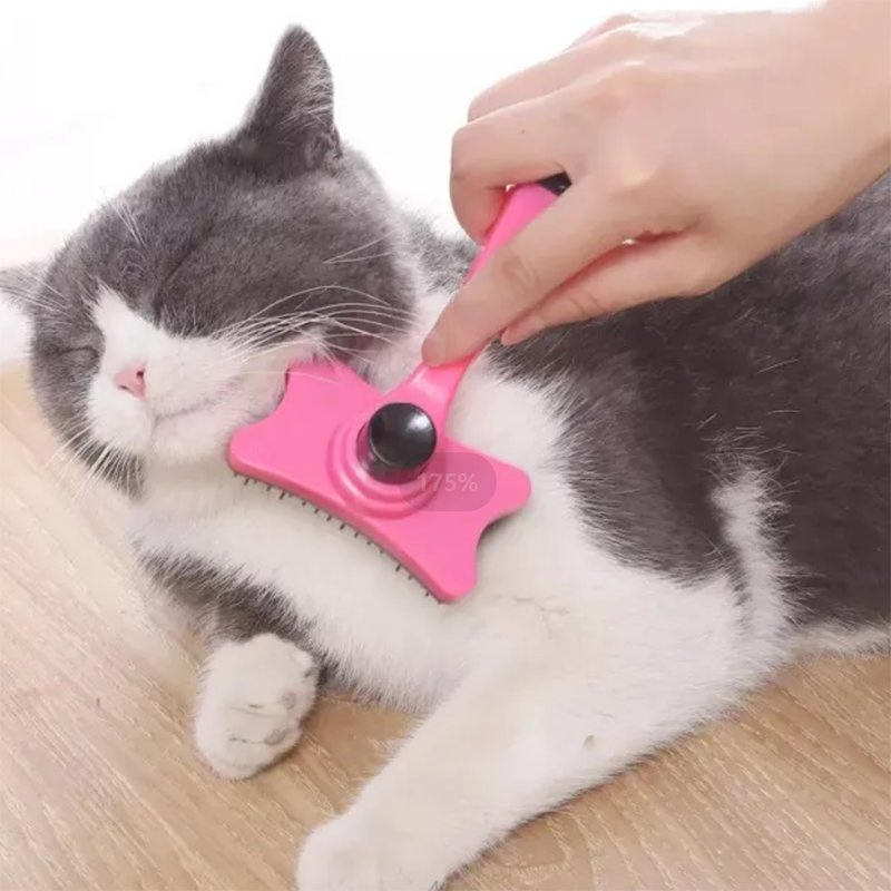 Hot Selling Pet Hair Remover Brush Pet Products Cat Brush Pet Hair Remover