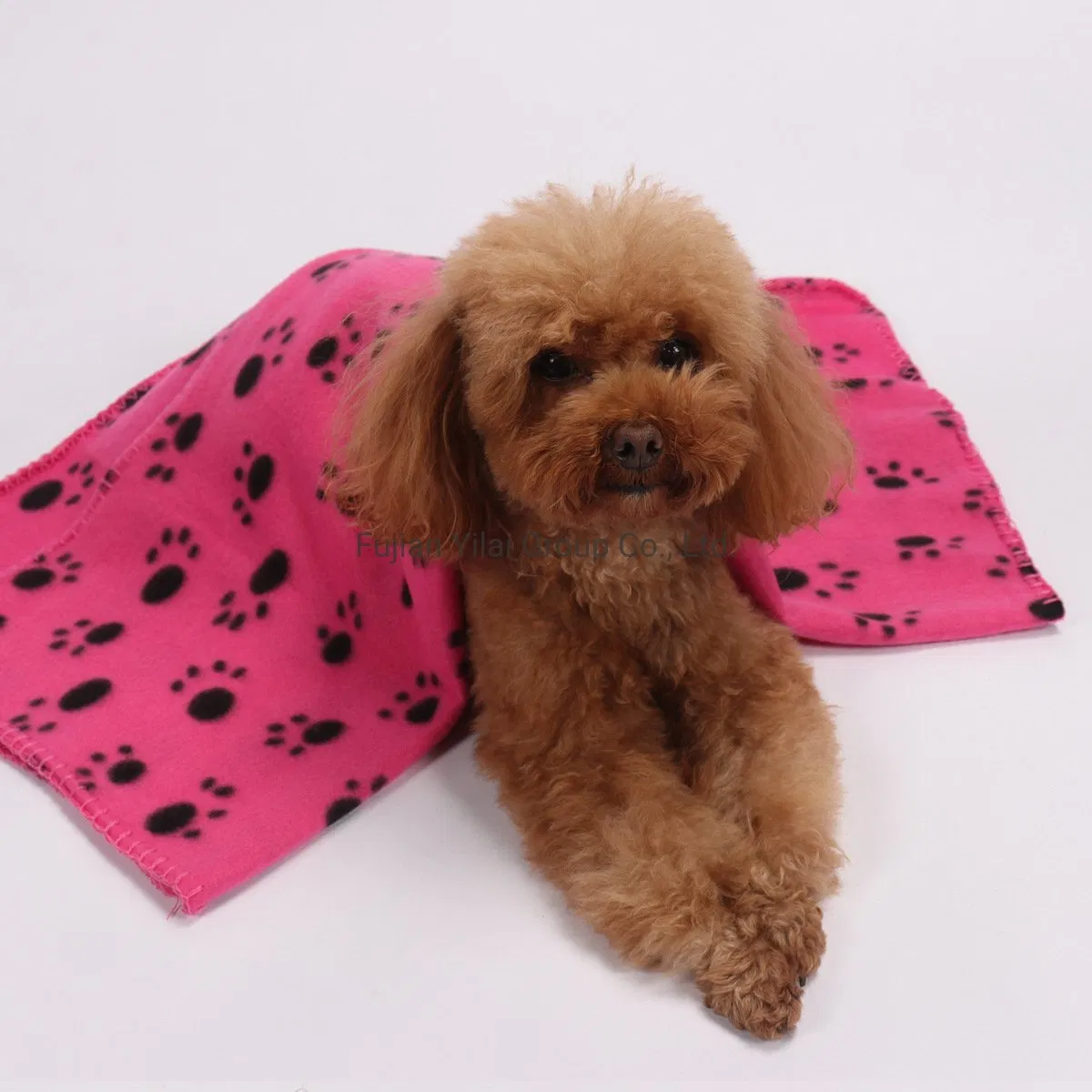 Lovely Pet Dogs Cats Blanket Soft Winter Warm Fleece Paw Print Design Pet Puppy Sofa Mat Towel Blankets
