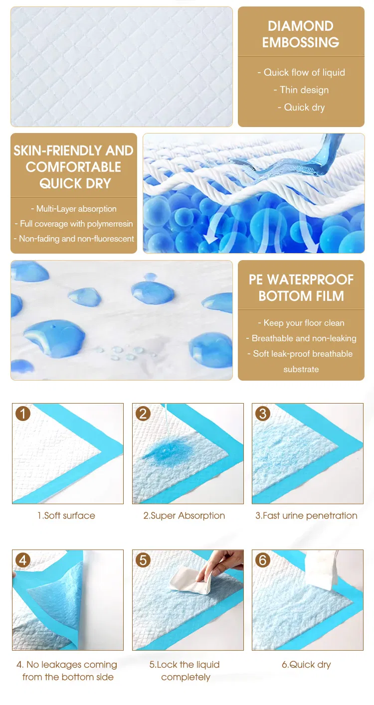 Pet Training Pads Display 6