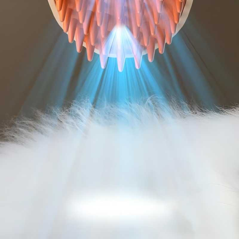 Electric cleaning Tool USB Rechargeable Pet Spray Comb Grooming Massage Brush