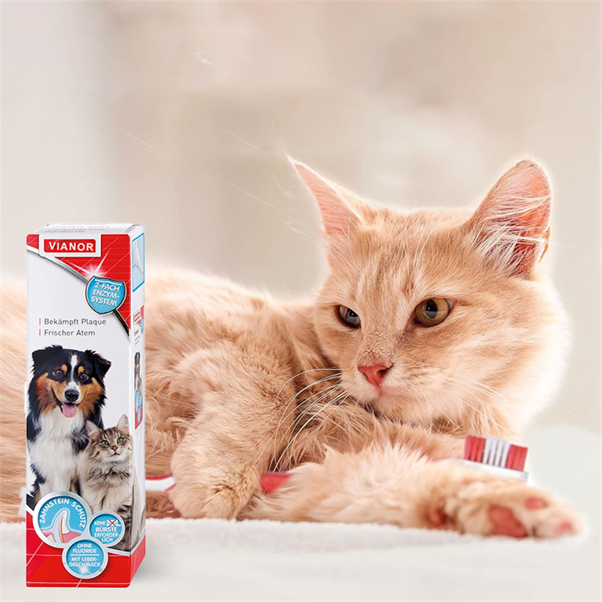 The New Norm Organic Dog Toothpaste Toothpaste with Toothbrush Private Label for Pet Cleaning