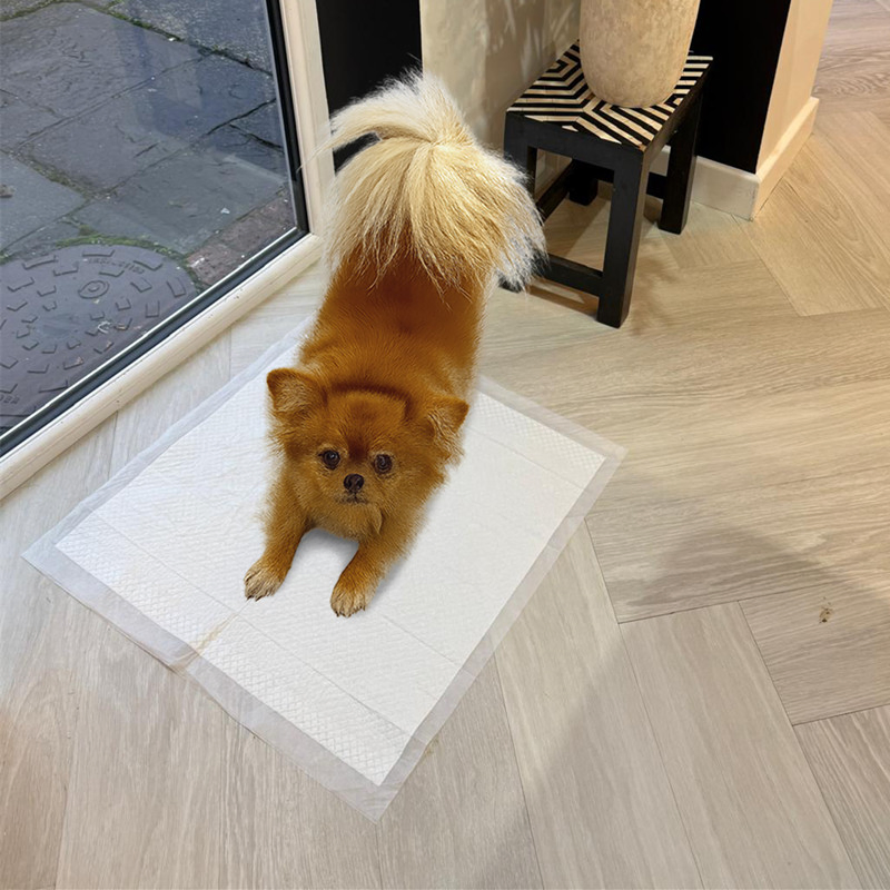 Custom Disposable 90% Biodegradable 6 Layer Pet Dog Training PEE Pad with Leakproof PLA Film