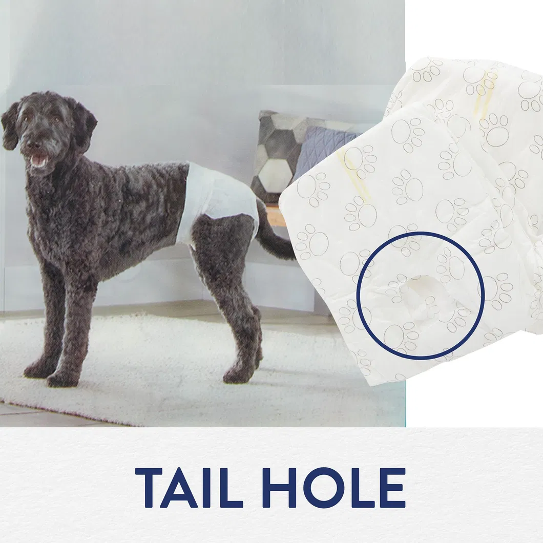 Pet Diaper Product Display