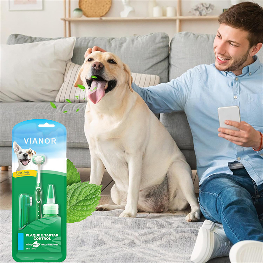 Competitive Organic Dog Toothpaste Toothpaste with Toothbrush Private Label for Pet Cleaning