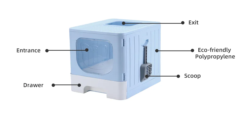 Large Space Caja De Arena