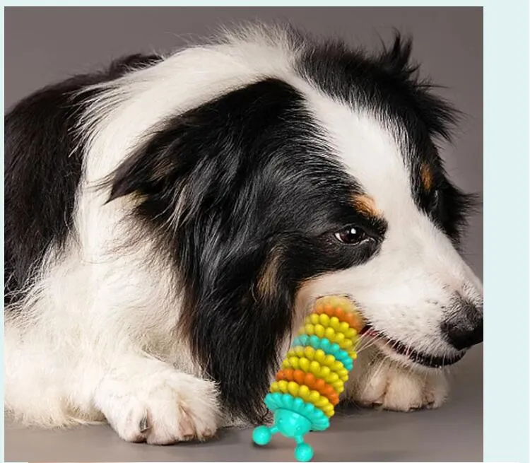 Colorful Pet Toys