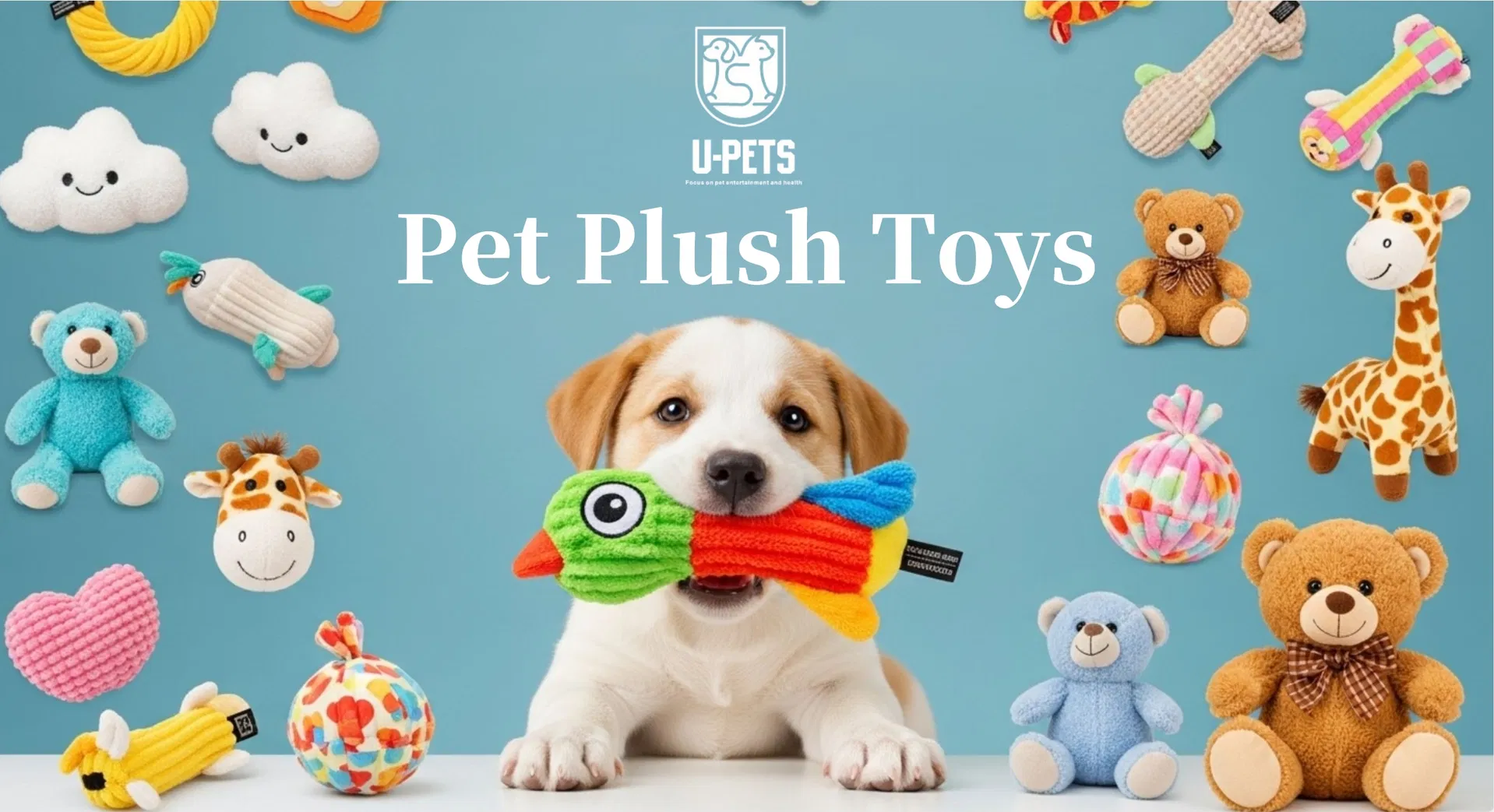 Plush Dog Toy Banner