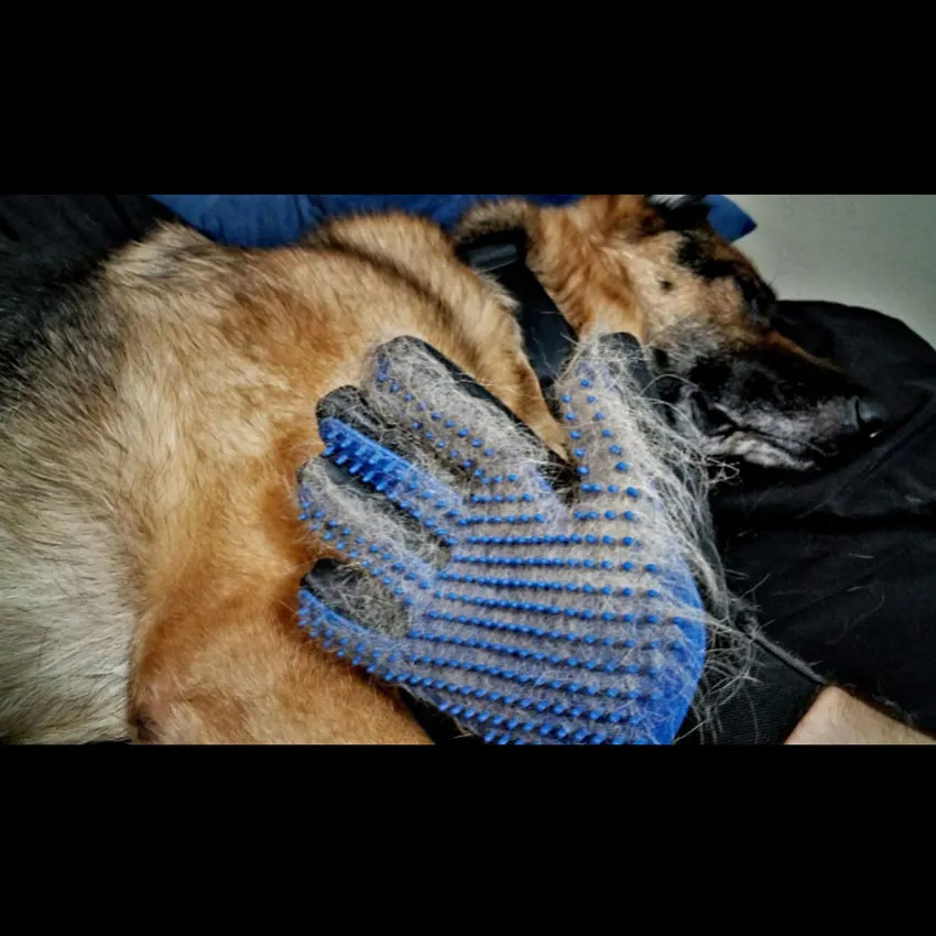 Pet Grooming Glove 2