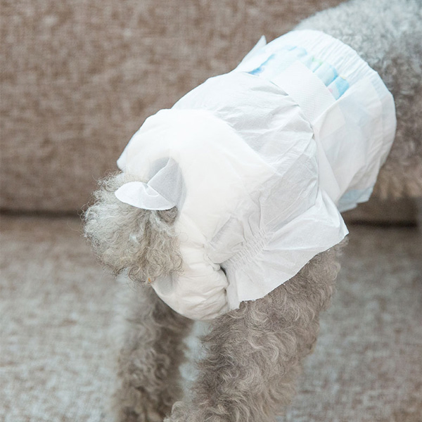 Veterinary Pet Diaper Producer Disposable &amp; Reusable Options