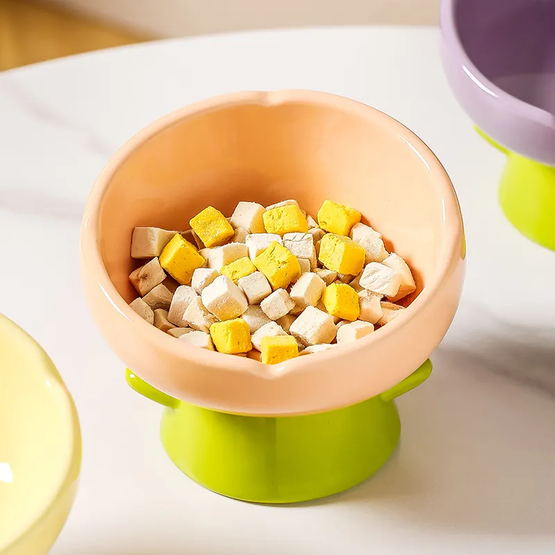 Anti-Spill Pet Feeding Dish