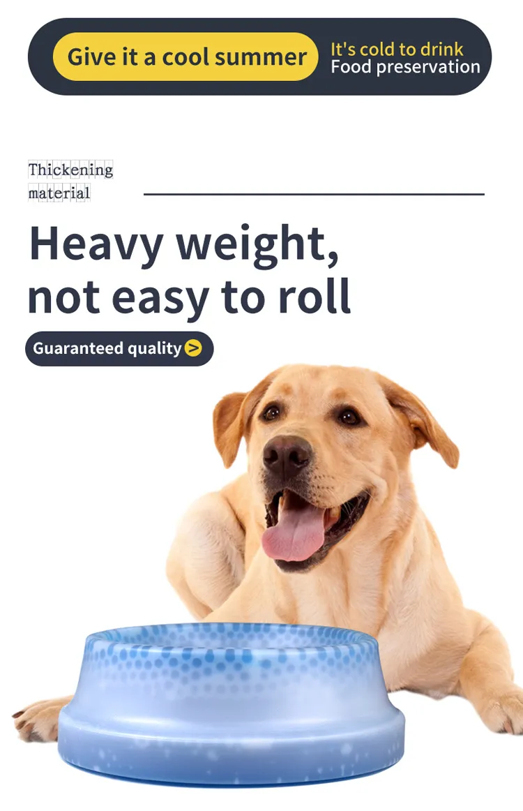 Dog Cooling Bowl Detail 1