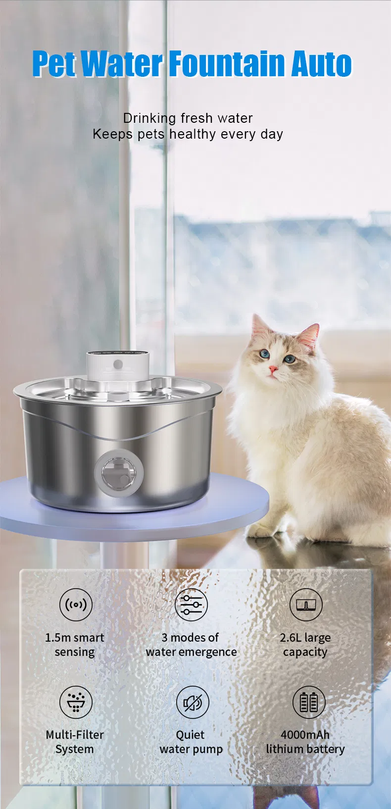 Pet Fountain Detail 1