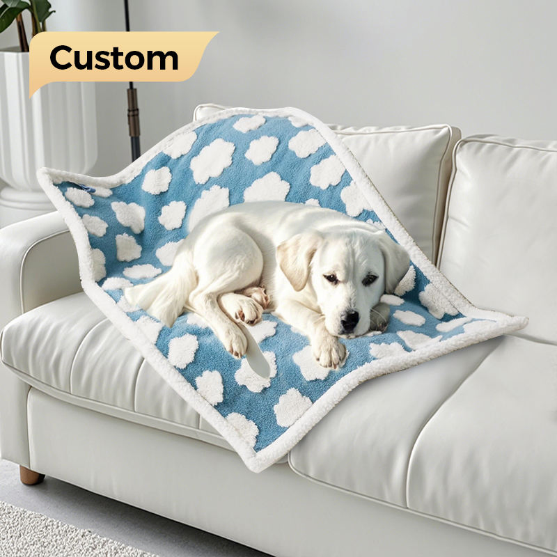 Manufacturer Coral Fleece Warm Autumn Winter Dog Cat Pet Blanket
