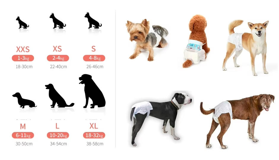 Free Sample Manufacturers Direct Pet Diapers Dog Elderly Dog Diaper Postoperative Care Large Discount Medical Bamboo Biodegradable