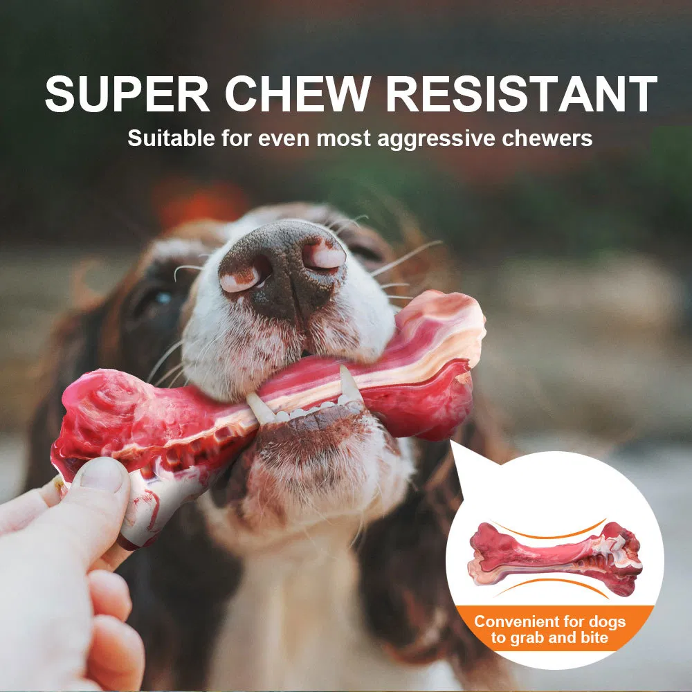 Pet Bone Chew Toy Overview