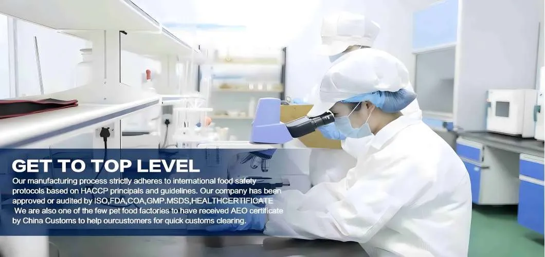 Pet Care Supplements