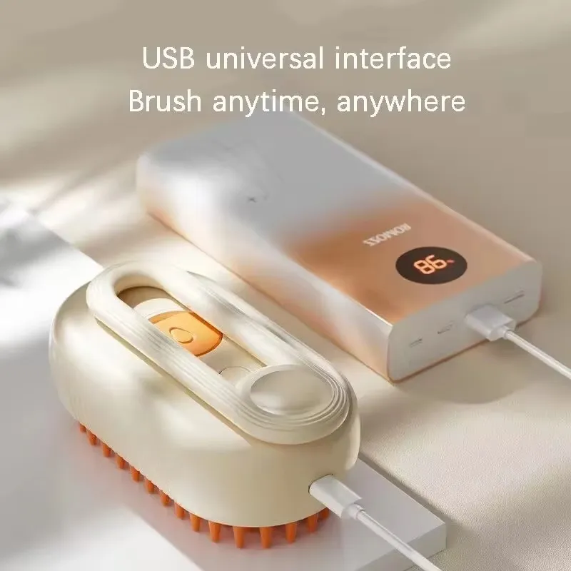 Portable Electric Brush