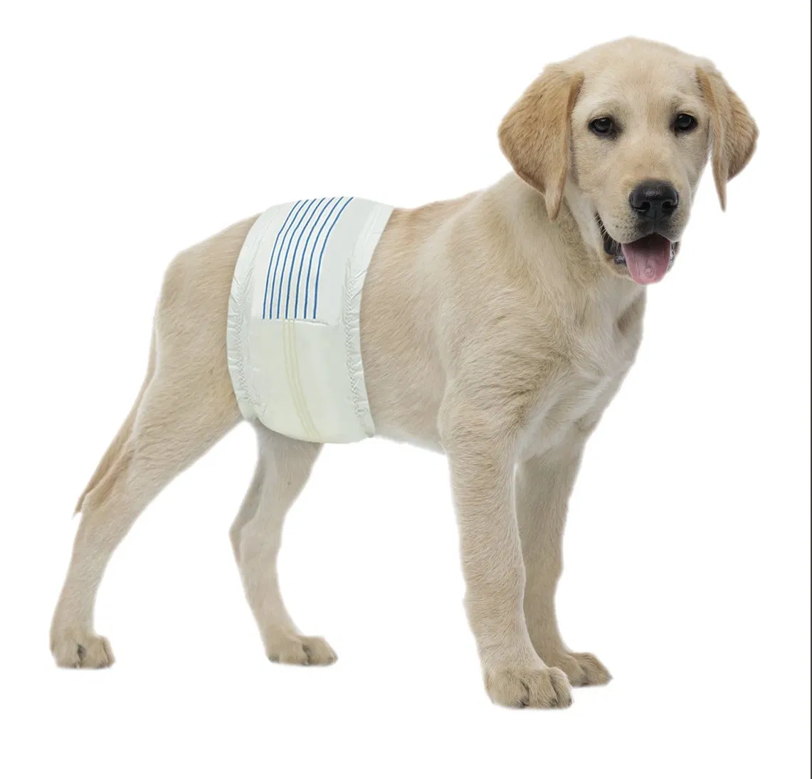 Premium Pet Training Diapers with Complimentary Sample Pack