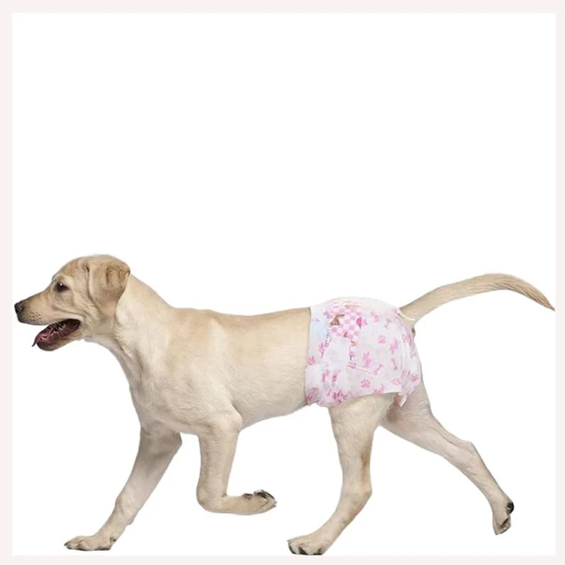 Premium Pet Training Diapers with Complimentary Sample Pack