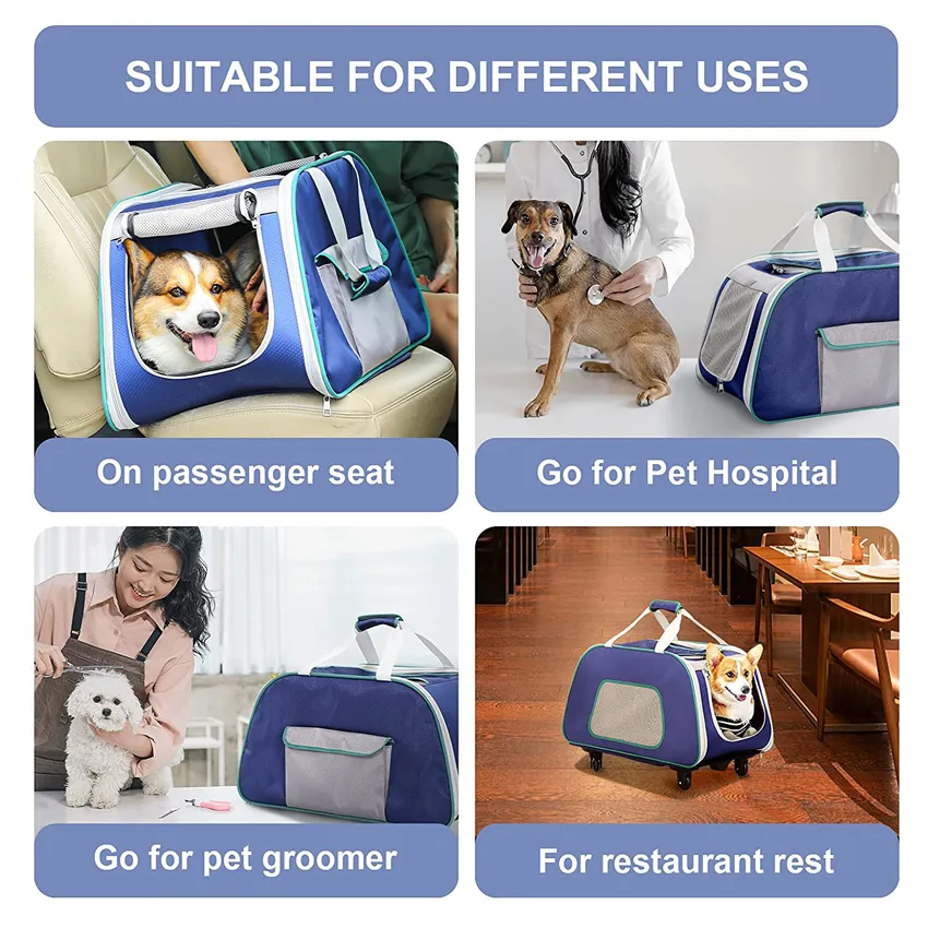 Pet Carrier 9