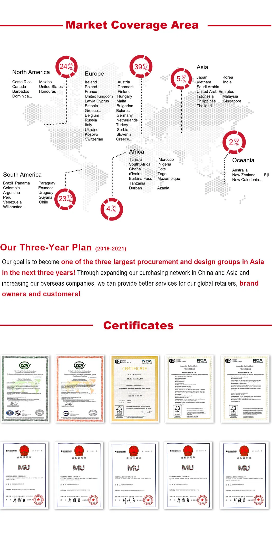 Manufacturing Process