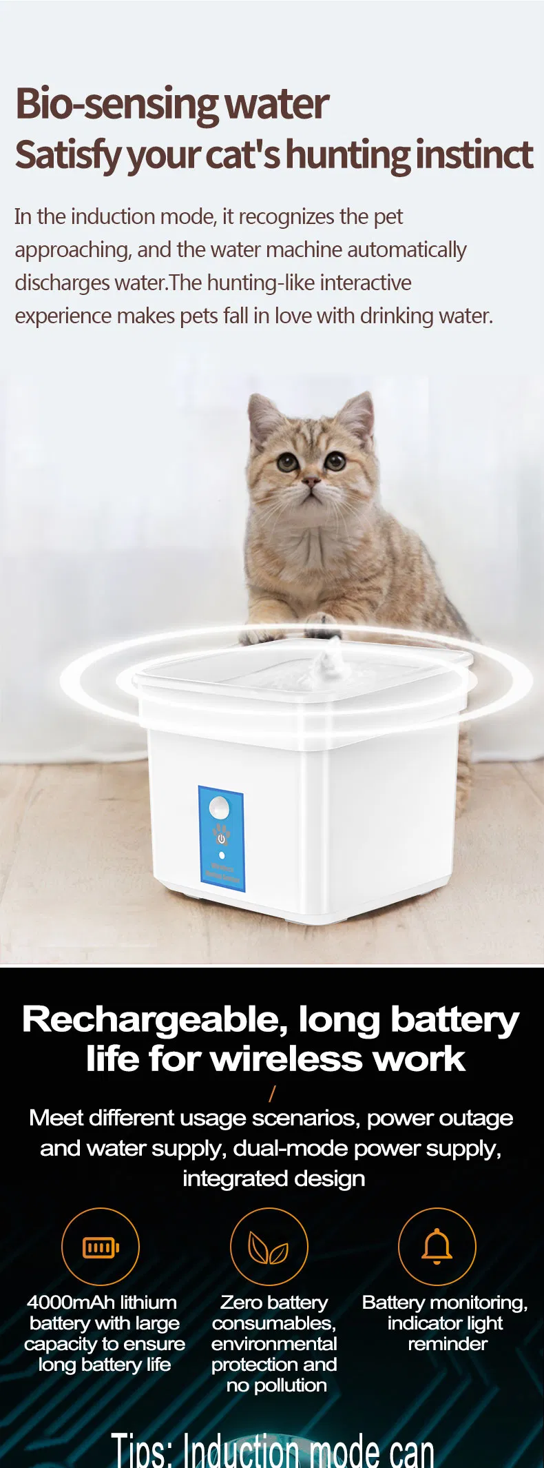 Pet Water Fountain Detail 1