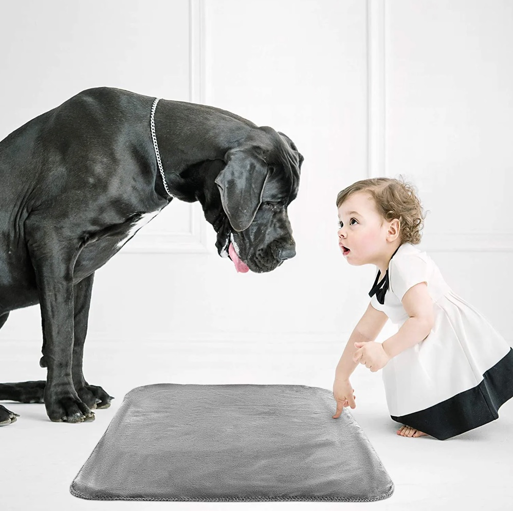 Hot Selling Warm Winter Removable and Washable Waterproof Blanket Quilt for Pet Dogs and Cats