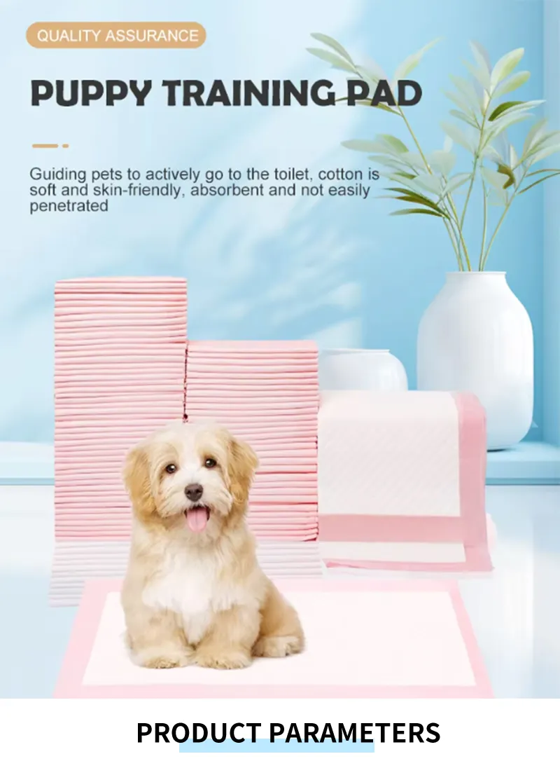 Pet Training Pad Introduction
