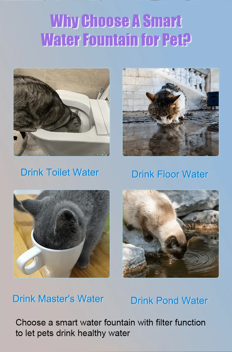 Pet Fountain Detail 2