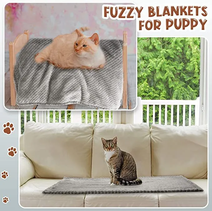Pet Blanket Display 2