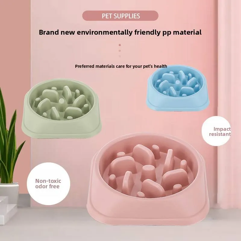 Pet Slow Food Bowl 7