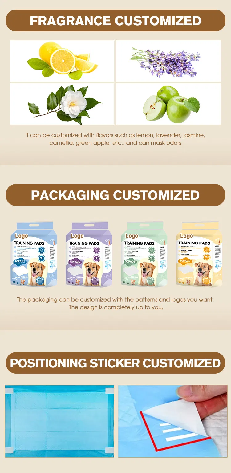 Pet Training Pads Display 4