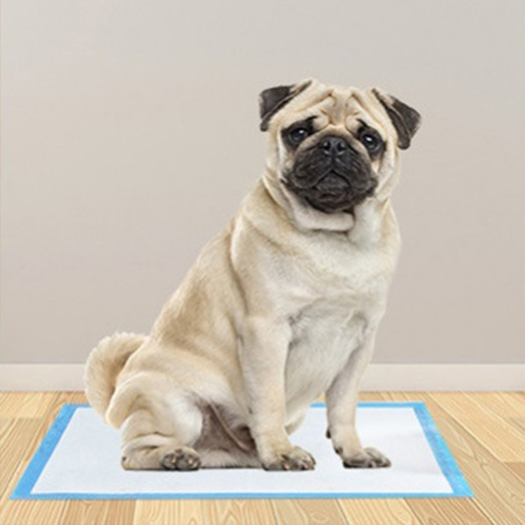 China Manufacturer Custom Waterproof Disposable Pet Diaper Dog Training Pad
