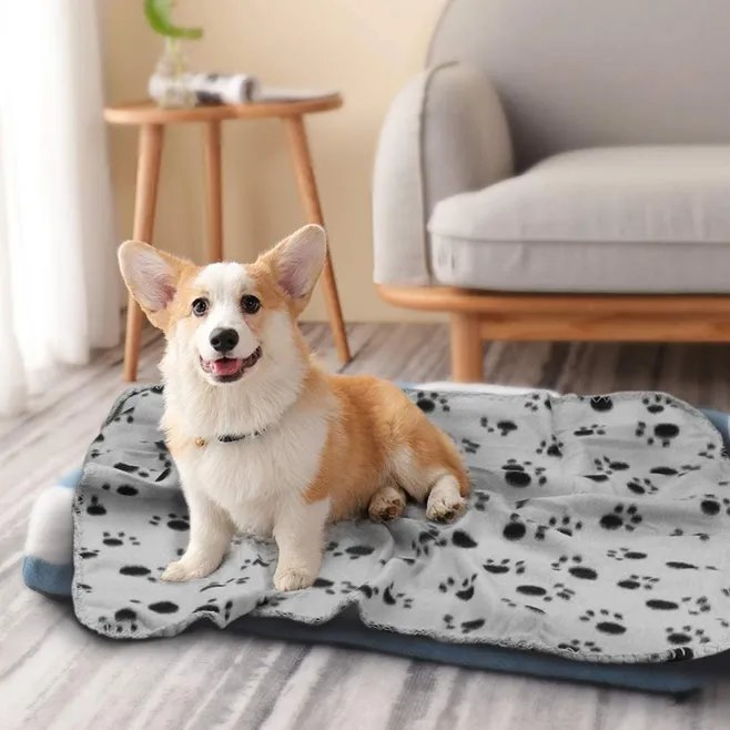 Warm Comfortable Paw Print Blanket/Bed All Season Adjustable Wholesale Pet Recycle Fleece Blanket