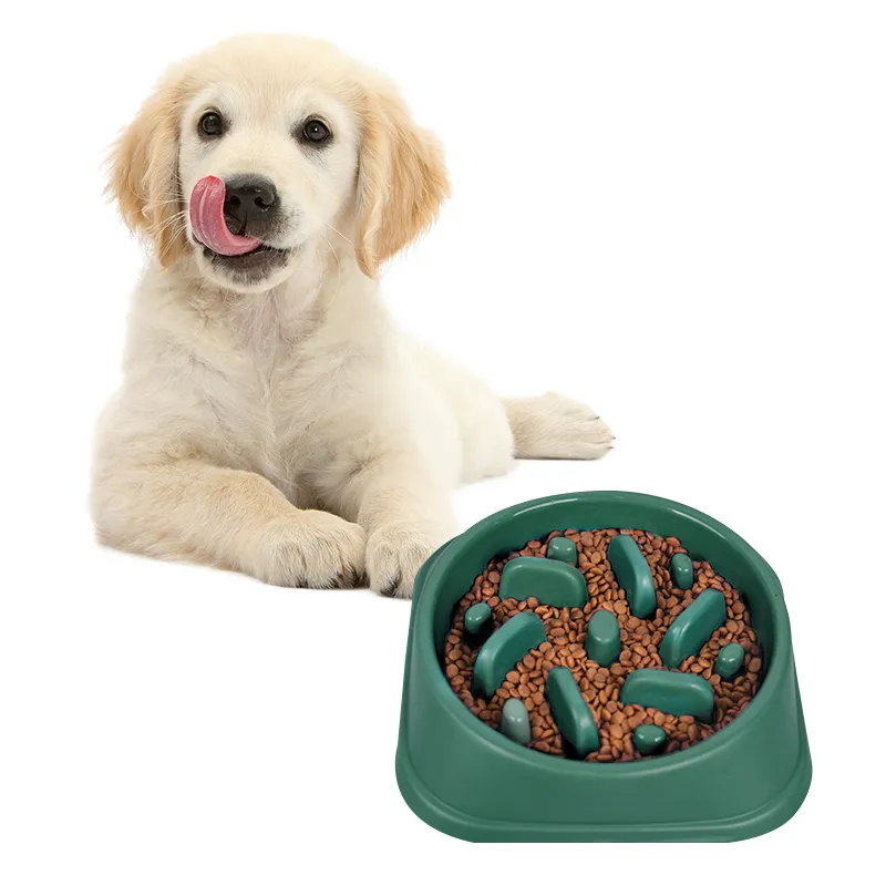 Similar pet bowl items