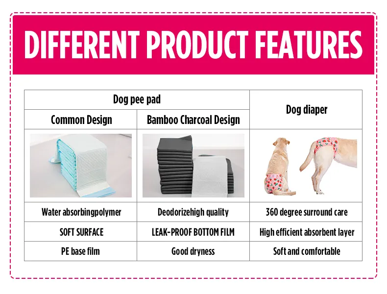 Pet Training Details