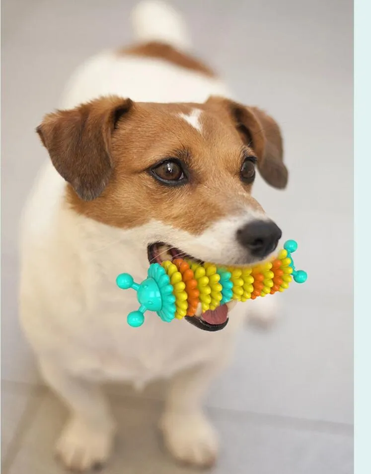 Durable Dog Toy