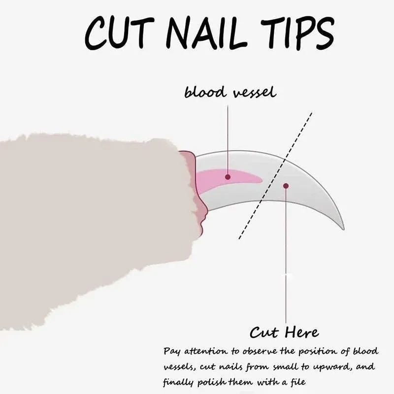 Pet Nail Clipper View 6