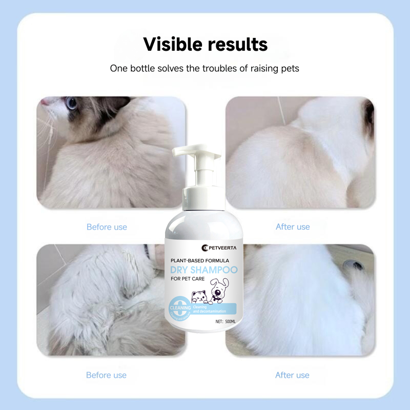 OEM Manufacturers 100% Natural Formula Pet Dry Shampoo Foam for Dogs and Cats with No-Rinse, Hypoallergenic Pet Care and Grooming Products Supplier