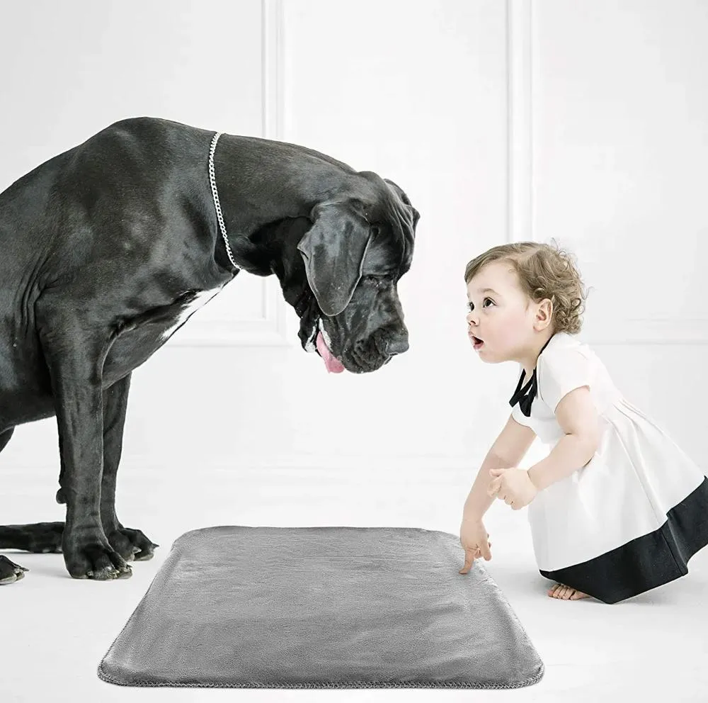 Pet Blanket Detail 10