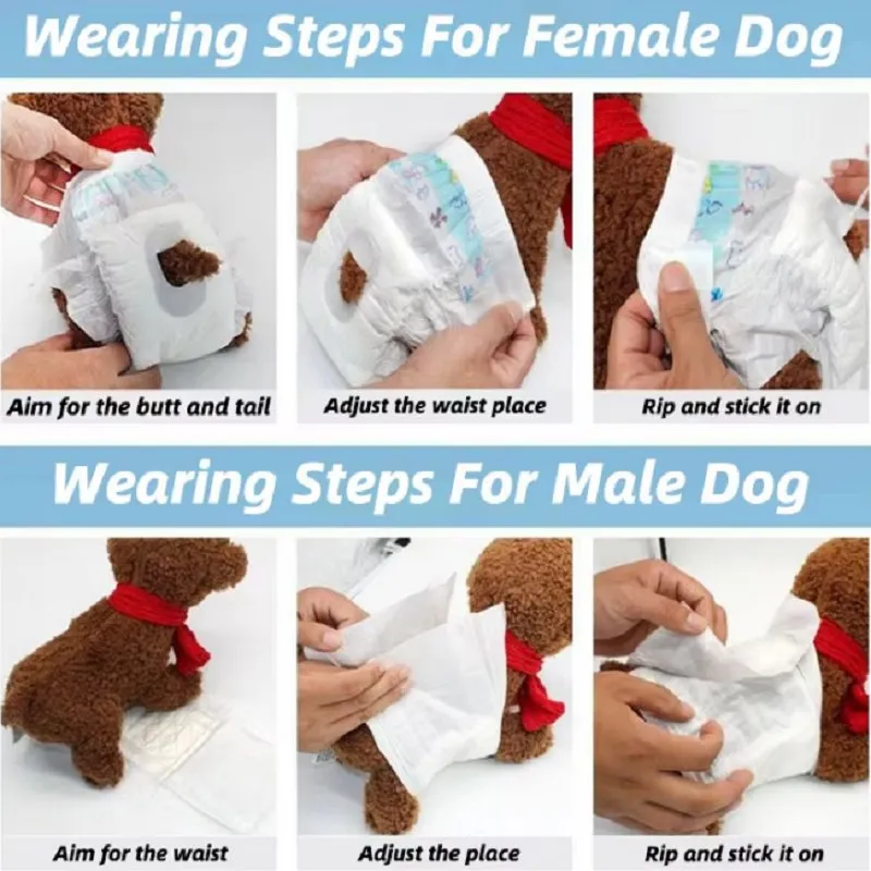 Wholesale Pet Diaper Full Info