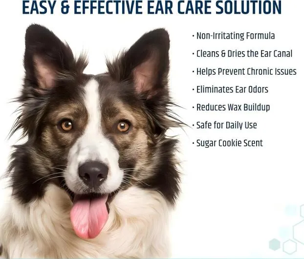 Pet Ear Health