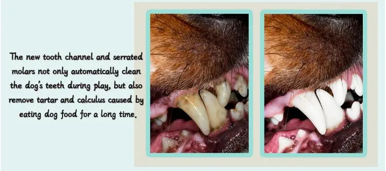 Product Size Specification