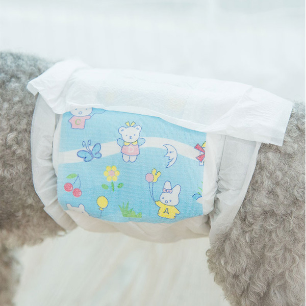 Veterinary Pet Diaper Producer Disposable &amp; Reusable Options