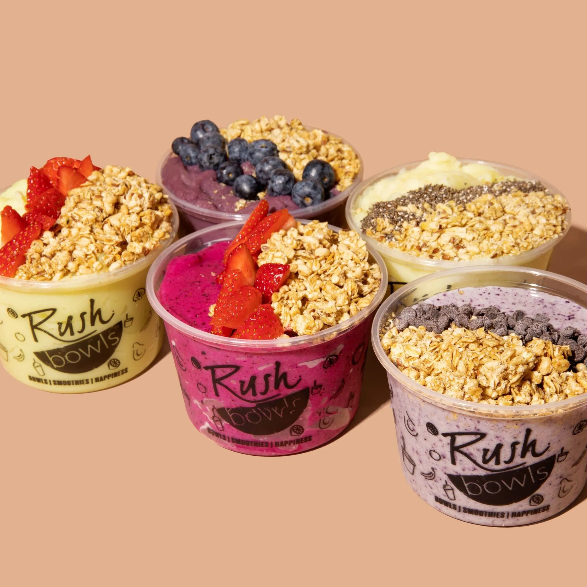 Disposable Pet Clear Plastic Cups Fruit Berry Plastic Acai Bowls Dome Lid