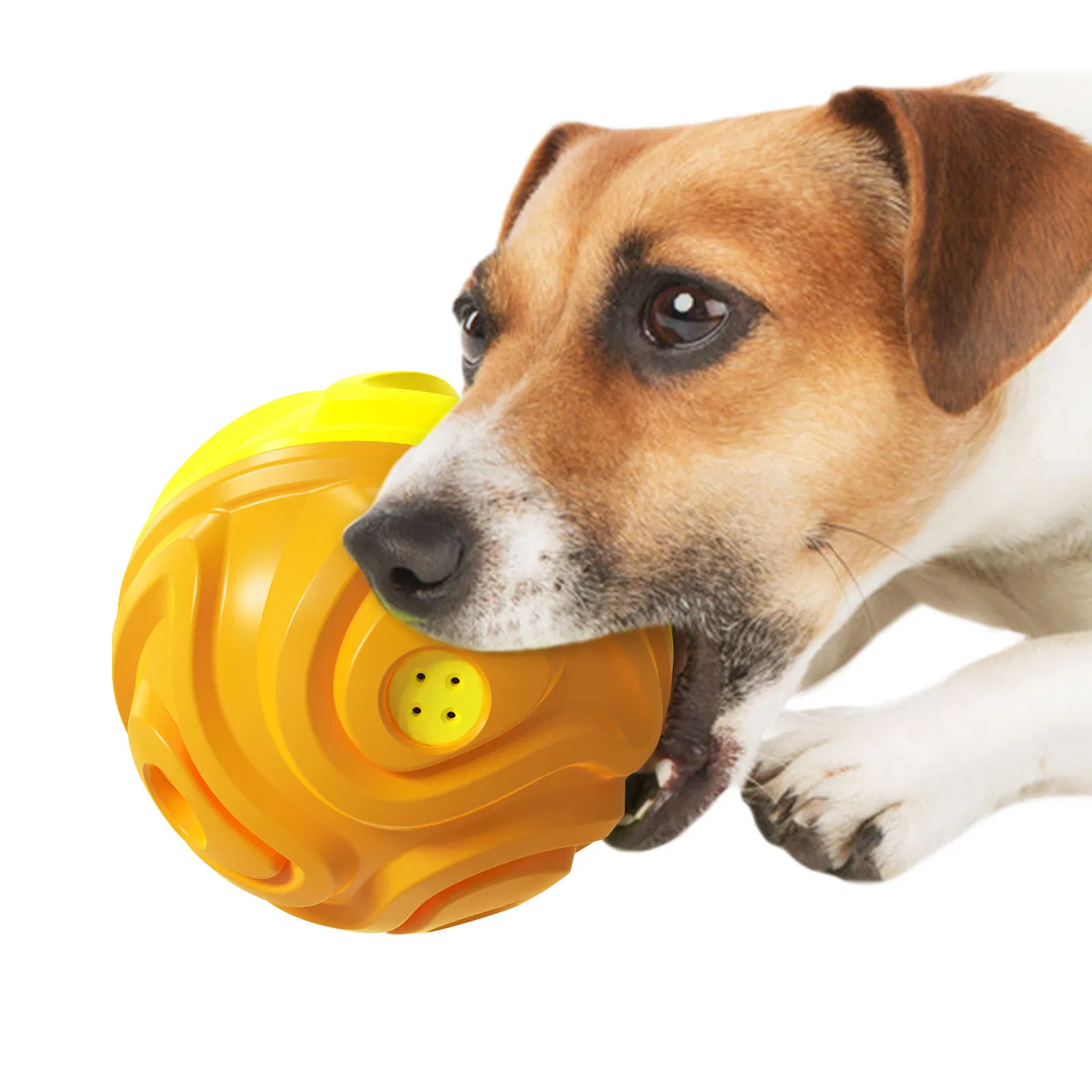 Funny Durable Interactive Chew Toy Pet Dog Rolling Ball with Sound
