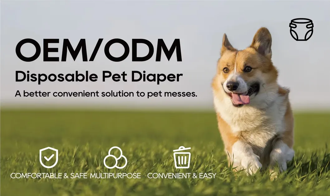 Pet Training Diapers Details