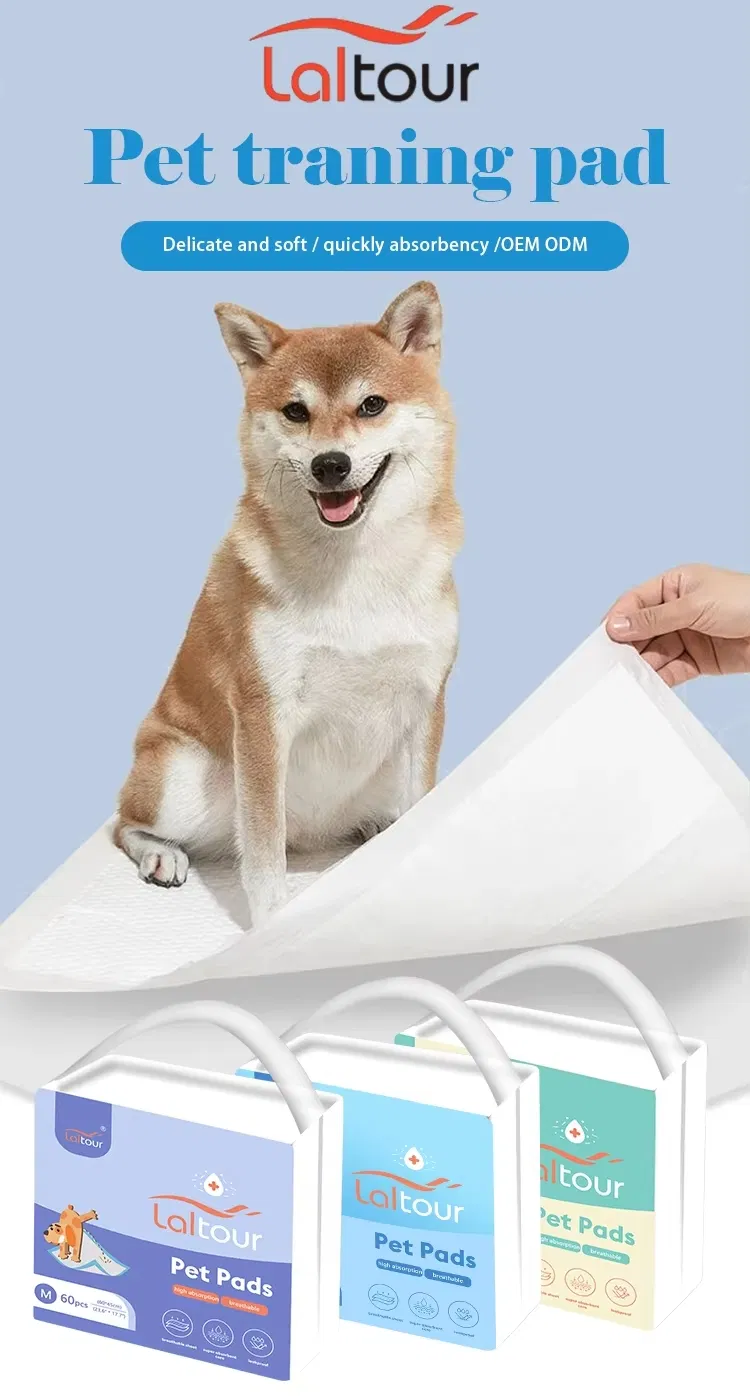 Pet Training Pad