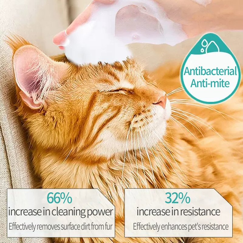 Pet Cleaning Products Odor Eliminating Pet Foam Shampoo Deodorizing Shampoo for Dogs